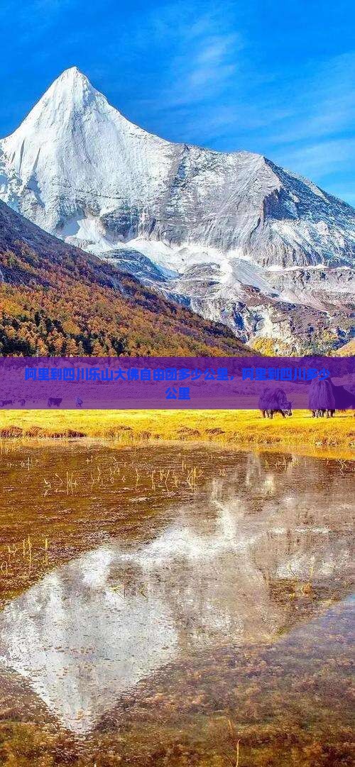 阿里到四川乐山大佛自由团