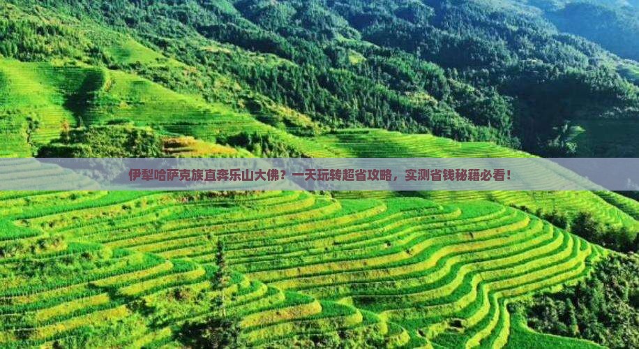 伊犁哈萨克到四川乐山大佛一日