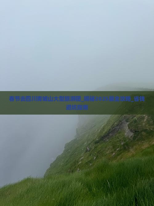 春节去四川青城山大型旅游团