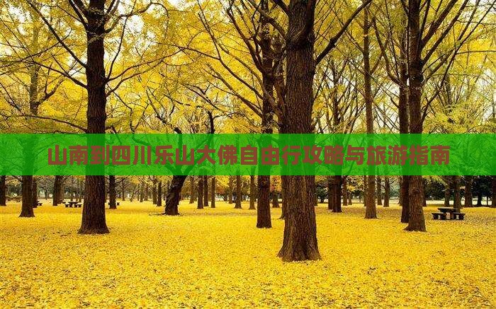 山南到四川乐山大佛自由行