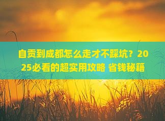 自贡到四川成都攻略