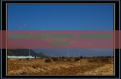 日照去四川乐山大佛必去地