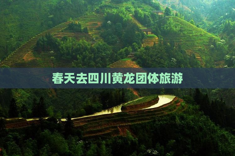 春天去四川黄龙团体旅游