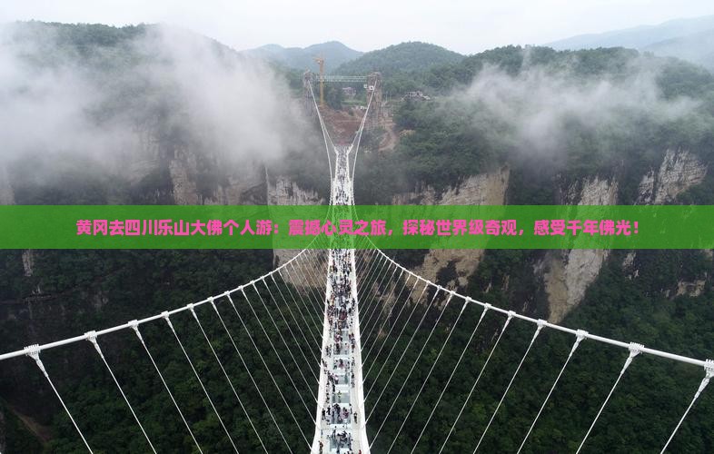 黄冈去四川乐山大佛个人游