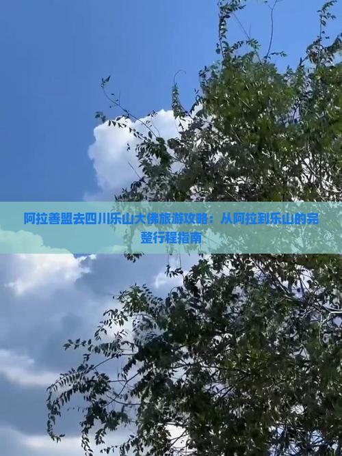阿拉善盟去四川乐山大佛门票