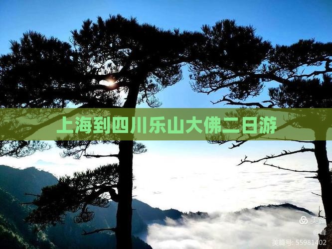 上海到四川乐山大佛二日游