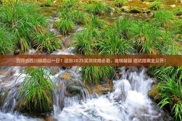 四月去四川峨眉山一日 四月去四川峨眉山一日