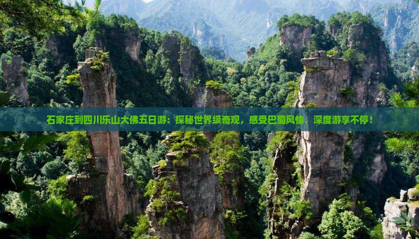 石家庄到四川乐山大佛五日游