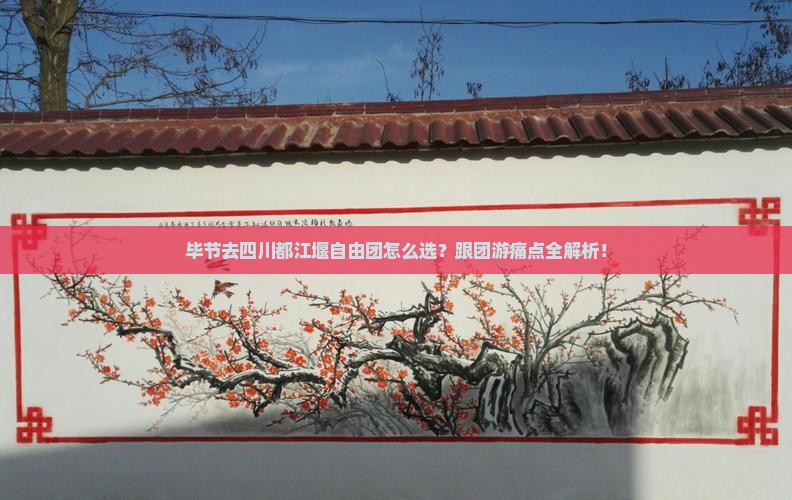 毕节去四川都江堰自由团