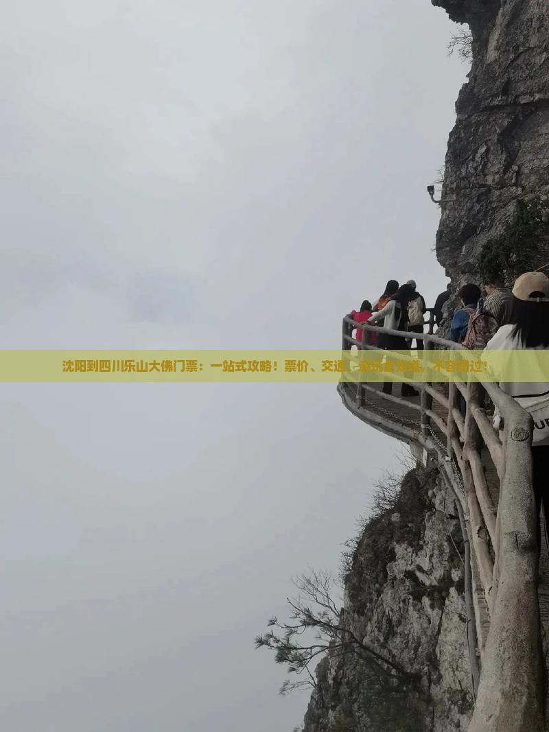 沈阳到四川乐山大佛门票