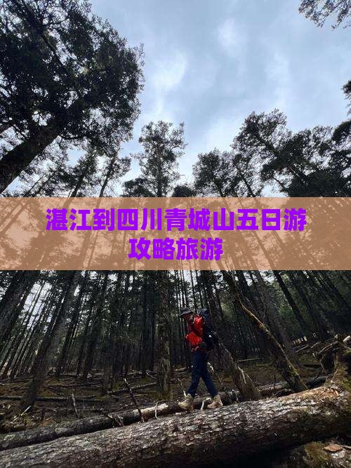 湛江到四川青城山五日游