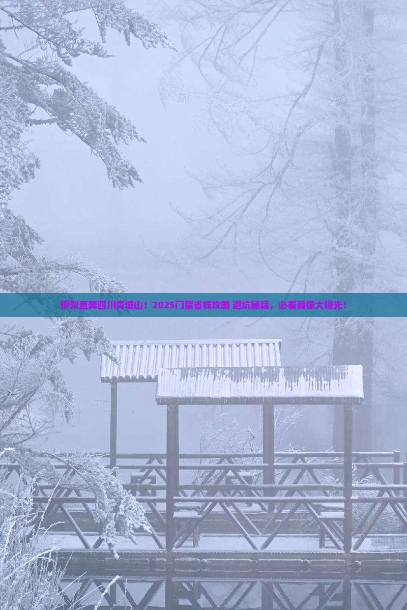 伊犁去四川青城山门票