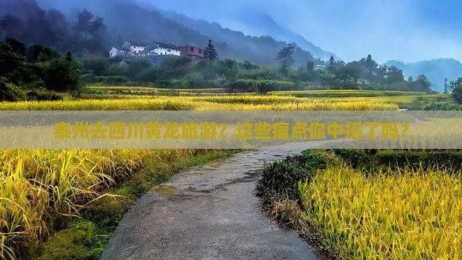 泰州去四川黄龙旅游