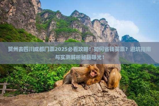 贺州去四川成都门票