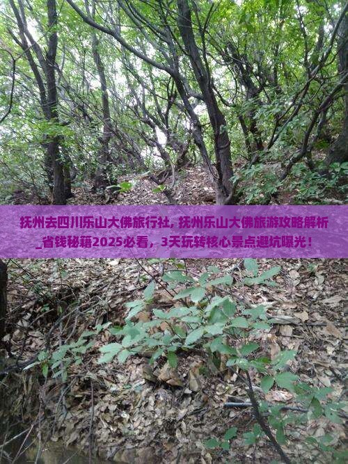 抚州去四川乐山大佛旅行社