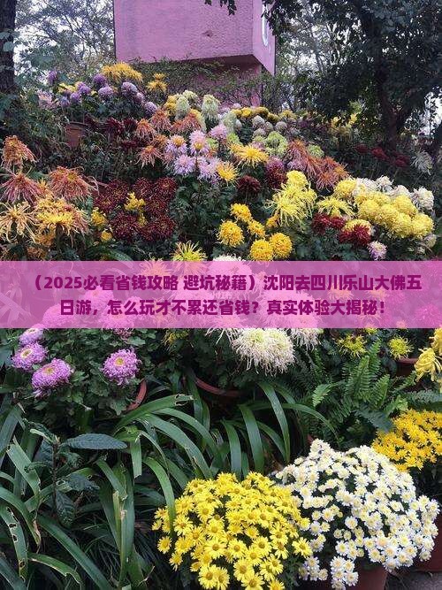 沈阳去四川乐山大佛五日游