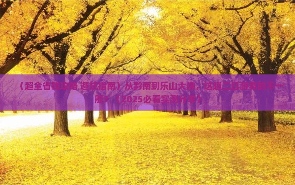 黔南去四川乐山大佛二日游