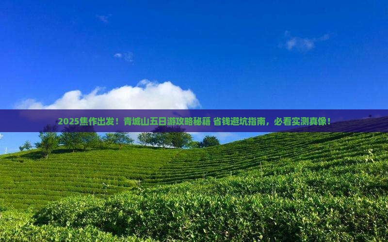 焦作到四川青城山五日游