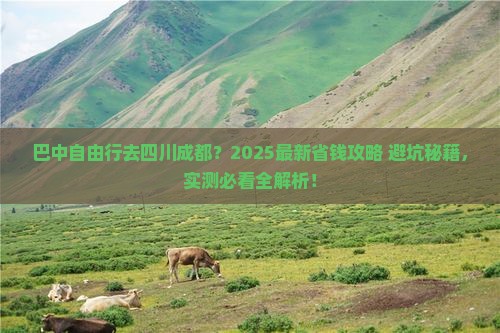 巴中去四川成都自由行