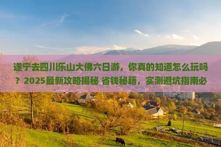 遂宁去四川乐山大佛六日游