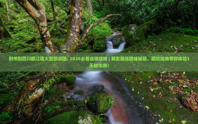 荆州到四川都江堰大型旅游团