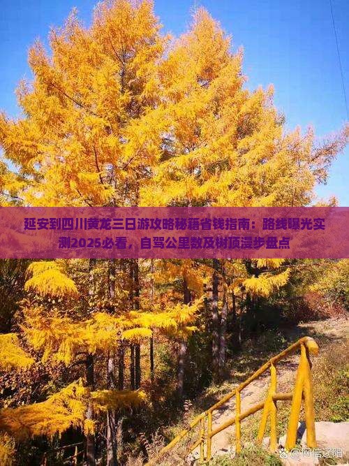 延安到四川黄龙三日游