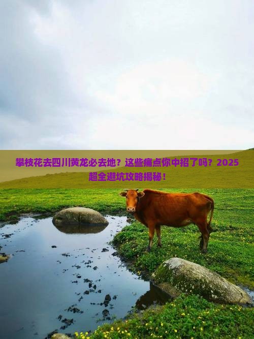 攀枝花去四川黄龙必去地