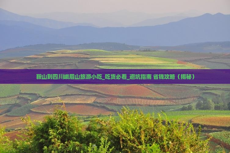 鞍山到四川峨眉山旅游小吃