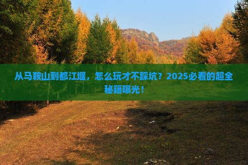 马鞍山去四川都江堰攻略