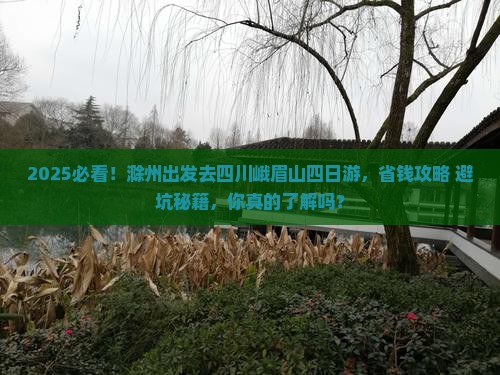 滁州去四川峨眉山四日游
