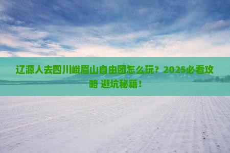 辽源去四川峨眉山自由团