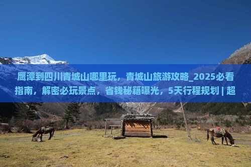 鹰潭到四川青城山哪里玩