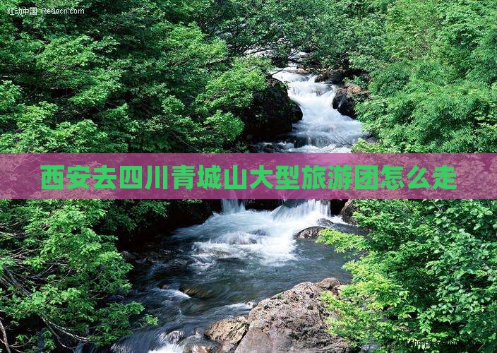 西安去四川青城山大型旅游团