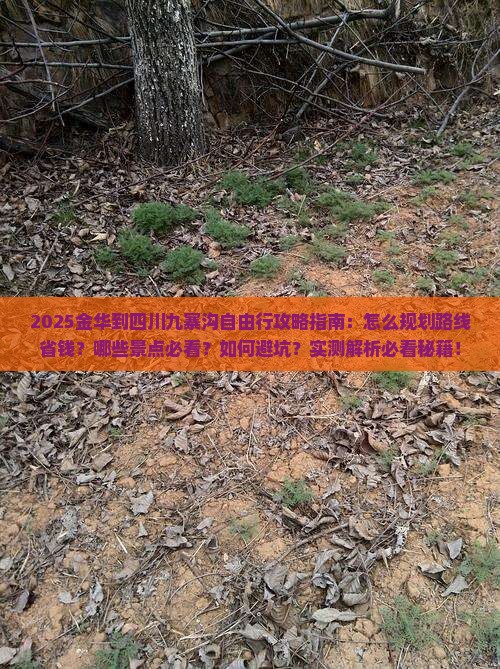 金华到四川九寨沟自由行