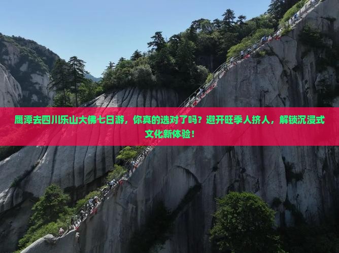 鹰潭去四川乐山大佛七日游