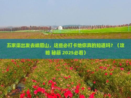 五家渠到四川峨眉山必去地
