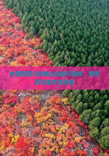 东营到四川青城山自由行