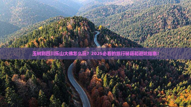 玉树到四川乐山大佛哪里玩