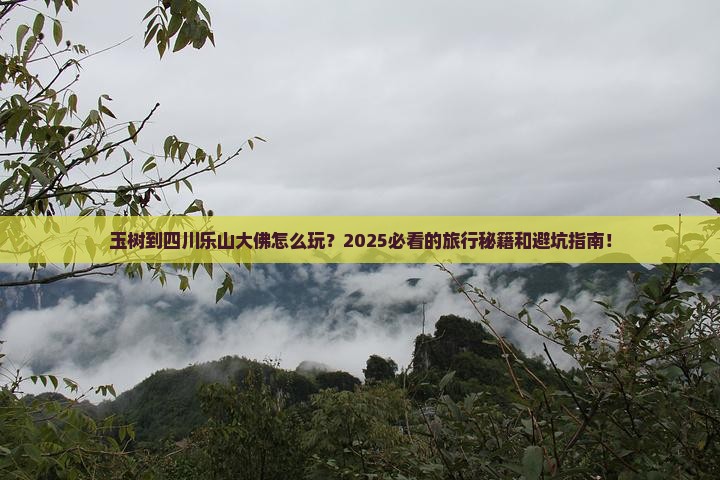 玉树到四川乐山大佛哪里玩