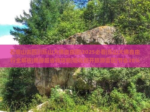 石嘴山去四川乐山大佛自由团