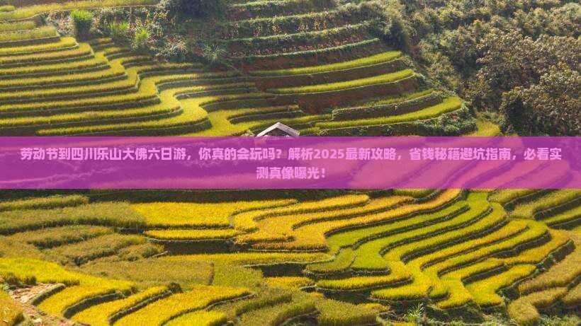 劳动节到四川乐山大佛六日游