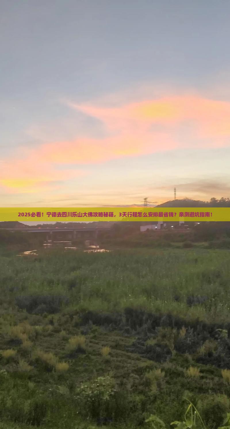 宁德去四川乐山大佛旅行社