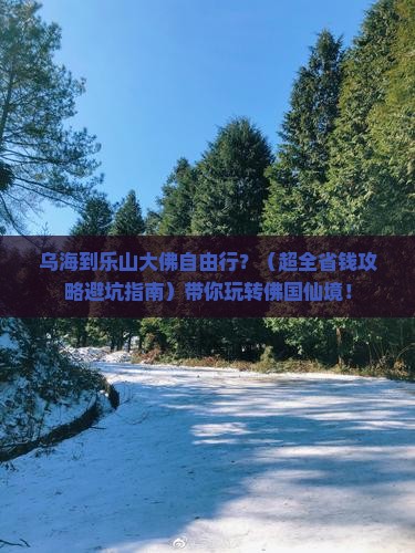 乌海去四川乐山大佛自由团