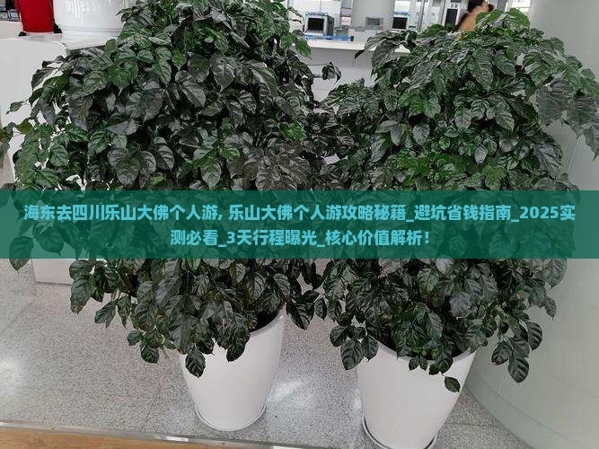 海东去四川乐山大佛个人游