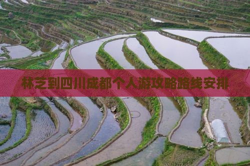 林芝到四川成都个人游
