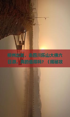 柳州到四川乐山大佛六日游