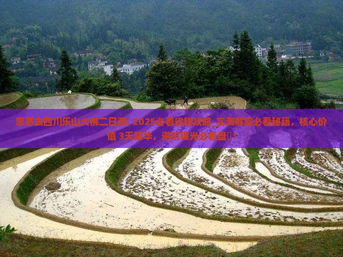 思茅去四川乐山大佛二日游
