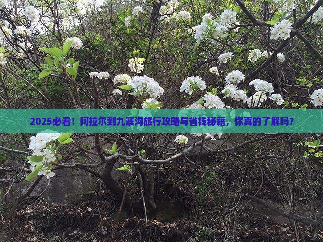 阿拉尔到四川九寨沟哪里玩