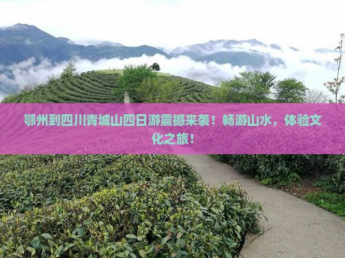 鄂州到四川青城山四日游