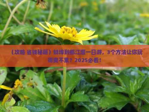 蚌埠到四川都江堰一日